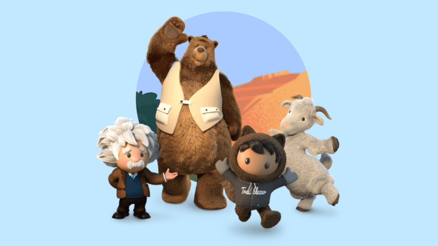 Salesforce Administration